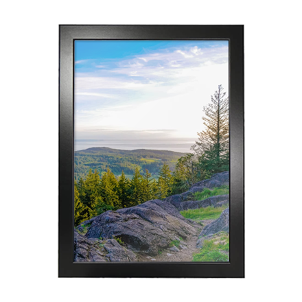 Image of black A3 poster frame